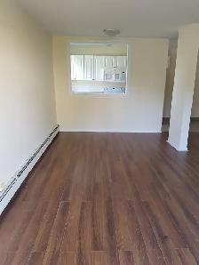 Upgraded 1BR - Unit 4 - Sept 1st - Heat Watter & Pkg Incl - Photo 2