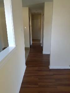Upgraded 1BR - Unit 4 - Sept 1st - Heat Watter & Pkg Incl - Photo 3