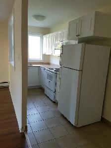 Upgraded 1BR - Unit 4 - Sept 1st - Heat Watter & Pkg Incl - Photo 5