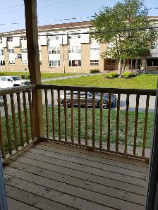Upgraded 1BR - Unit 4 - Sept 1st - Heat Watter & Pkg Incl - Photo 7