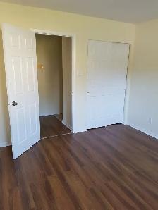 Upgraded 1BR - Unit 4 - Sept 1st - Heat Watter & Pkg Incl - Photo 9