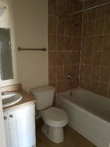 Upgraded 1BR - Unit 4 - Sept 1st - Heat Watter & Pkg Incl - Photo 12