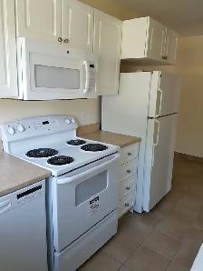 Upgraded 1BR - Unit 4 - Sept 1st - Heat Watter & Pkg Incl - Photo 14