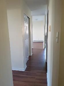 Upgraded 1BR - Unit 4 - Sept 1st - Heat Watter & Pkg Incl - Photo 15