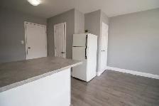 1 Ormond St N - Bachelor Units - Photo 5