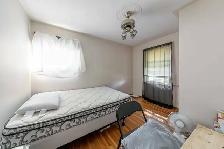 NEW! 3 Bedroom 1 Bath Home with Spacious Backyard - Photo 7