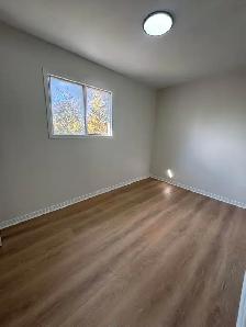 Large, Family-Friendly Apartment for Lease – $1,595 Inclusive - Photo 9
