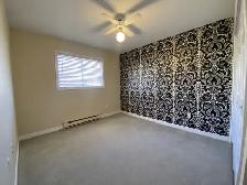 3 BR 1.5 BATH HALIFAX TOWNHOUSE AVAILABLE AUGUST 1ST - Photo 17