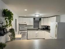 CHARMING 2 BR 1 BATH APARTMENT AVAILABLE SEPT 1 - Photo 2