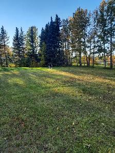 LOOKING TO LEASE ACREAGE.  Hall of Fame Horseman , semi-retired, - Photo 2
