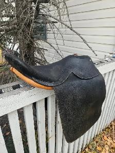 LOOKING TO LEASE ACREAGE.  Hall of Fame Horseman , semi-retired, - Photo 4