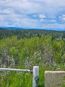 LOOKING TO LEASE ACREAGE.  Hall of Fame Horseman , semi-retired, - Photo 6