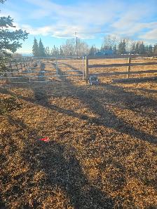 LOOKING TO LEASE ACREAGE.  Hall of Fame Horseman , semi-retired, - Photo 8