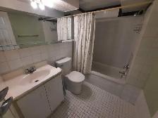 Private furnished Basement, Scarborough - Photo 7