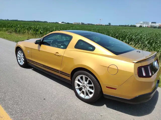 Mustang, Certified, trades possible,