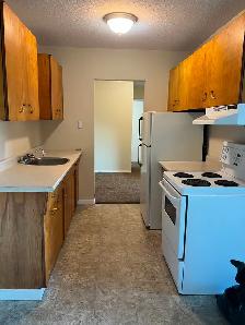 2 BEDROOM APARTMENT IN PORT ALBERNI - Photo 5