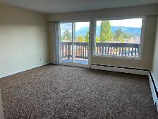 2 BEDROOM APARTMENT IN PORT ALBERNI - Photo 7