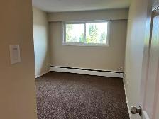 2 BEDROOM APARTMENT IN PORT ALBERNI - Photo 11