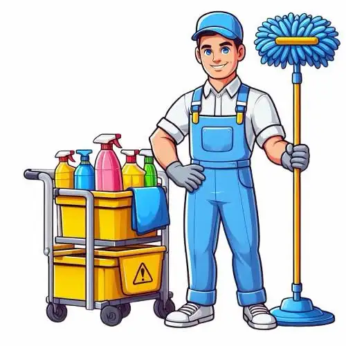 cleaner looking for work