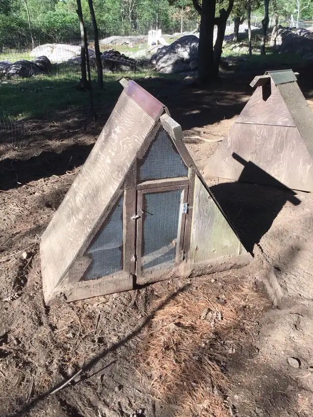 Chicken Hatching House