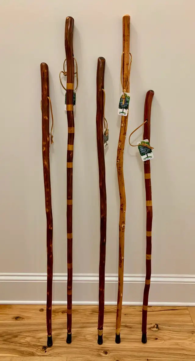 Hiking Sticks