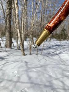 Hiking Sticks - Photo 2