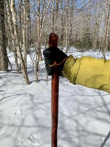 Hiking Sticks - Photo 3