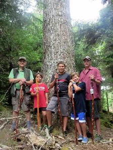Hiking Sticks - Photo 4