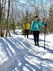 Hiking Sticks - Photo 5