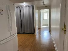 Spacious Walk-In Basement Apartment for Rent - Photo 19
