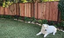 We R Fences - Photo 9