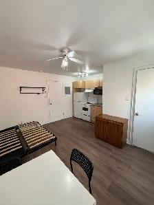 Appartement studio tout inclus à louer – Ahuntsic, Montréal - Photo 3