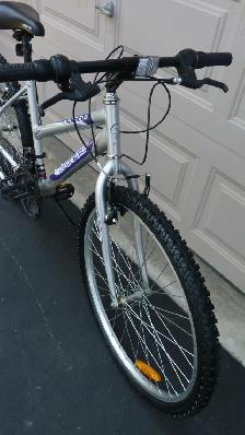Ladies Commuter Bicycle - Photo 3