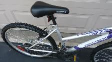 Ladies Commuter Bicycle - Photo 4