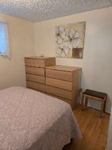 1 BEDROOM (for 1 person)  PLUS 1 OFFICE SPACE - Photo 3