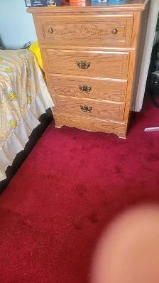 Furnished Room for Rent in Etobicoke - Photo 3