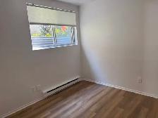 3 1/2 Semi basement for rent - Photo 4