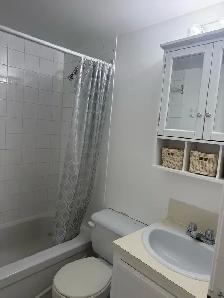 3 1/2 Semi basement for rent - Photo 6