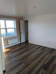 1br - Large Renovated One Bedroom Suite (Campbellton/McLeod's) - Photo 5