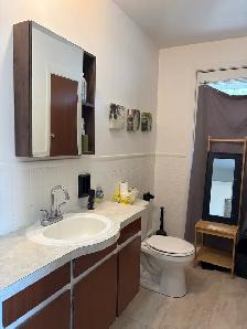 Superbe 3 1/2, Lévis, Entièrement meublé, Libre - Photo 11