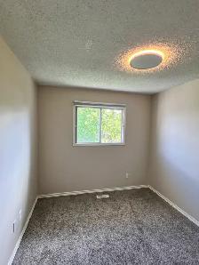 #8781 - 4 Bed/2 Bath Full house for August 1st $2400 - Photo 12
