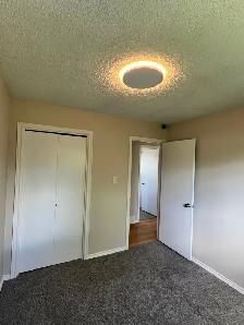 #8781 - 4 Bed/2 Bath Full house for August 1st $2400 - Photo 13
