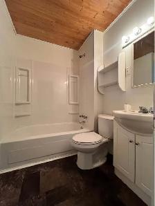 11 Blackmarsd Rd - Three Bedroom Main Floor Home - Photo 6