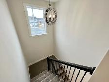31 Lynch Pl - Brand New Home Near Hospitals & University - Photo 14