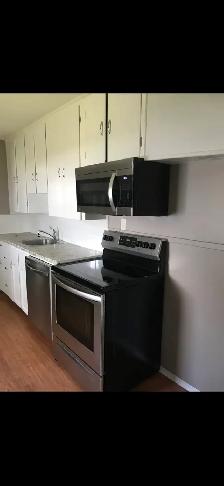 House for Rent - Pioneer Village - Photo 9