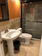 Spacious & Bright Basement Apartment for Rent in Scarborough - Photo 9