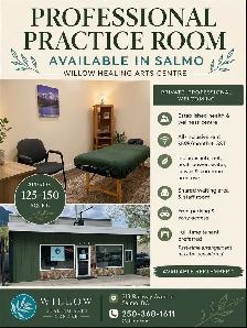 Professional Practice Room for Rent – Salmo