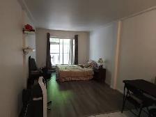 studio -metro laurier - Photo 2