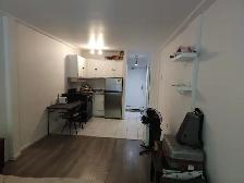 studio -metro laurier - Photo 3