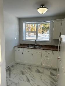 Quiet renovated 1 bedroom apartment